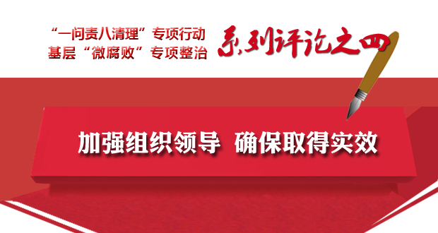 全省兩個專項工作系列評論之四 加強組織領導 確保取得實效