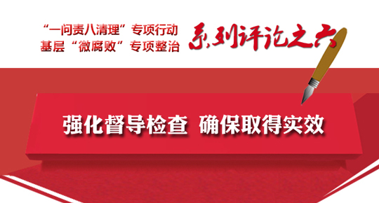 全省兩個專項工作系列評論之六 強化督導檢查 確保取得實效
