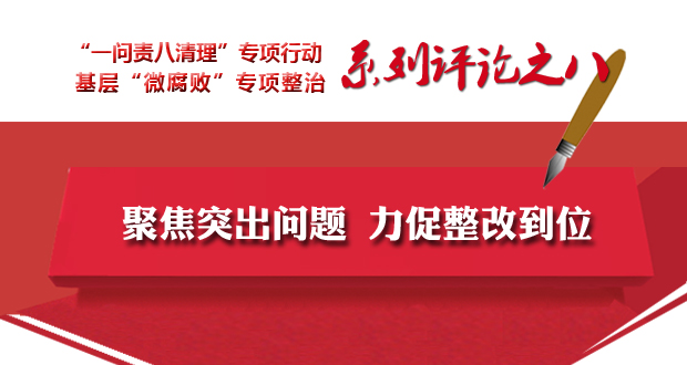 全省兩個專項工作系列評論之八 聚焦突出問題 力促整改到位